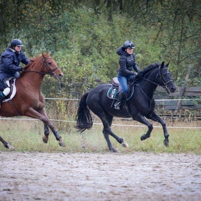 Hubertus 2017 - cz. 1 (Fot. Patrycja Dawid)