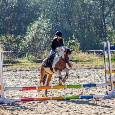 Hubertus 2018 - cz. II (Fot. Konrad Mika)