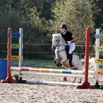 Hubertus 2019 - cz. III - konkurs skoków 50 cm (fot. Piotr Kawula)