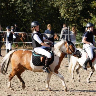 Hubertus 2019 - cz. III - konkurs skoków 50 cm (fot. Piotr Kawula)