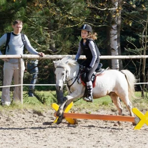 Hubertus 2019 - cz. IV - konkurs podskoków 20 cm (fot. Piotr Kawula)