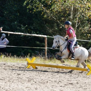 Hubertus 2019 - cz. IV - konkurs podskoków 20 cm (fot. Piotr Kawula)