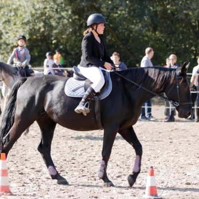 Hubertus 2019 - cz. IV - konkurs podskoków 20 cm (fot. Piotr Kawula)