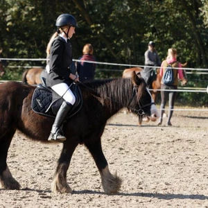 Hubertus 2019 - cz. III - konkurs skoków 50 cm (fot. Piotr Kawula)