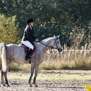 Hubertus 2019 - cz. III - konkurs skoków 50 cm (fot. Piotr Kawula)