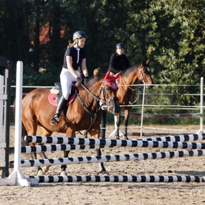 Hubertus 2019 - cz. II - konkurs skoków 70 cm (fot. Piotr Kawula)