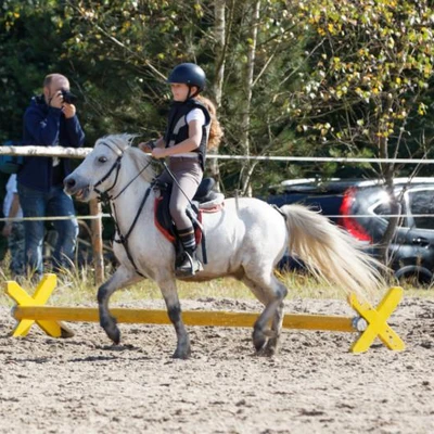 Hubertus 2019 - cz. IV - konkurs podskoków 20 cm (fot. Piotr Kawula)