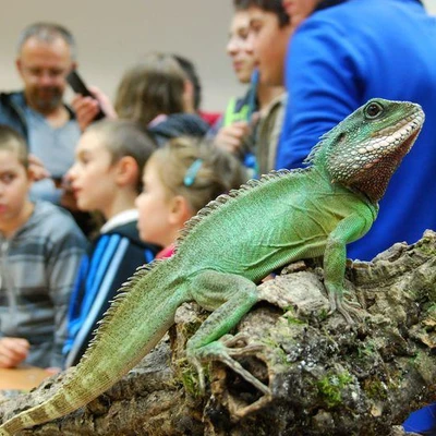 Małopolska Noc Naukowców 2014 (fot. Piotr Kawula)