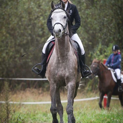 Hubertus 2017 - cz. 1 (Fot. Patrycja Dawid)