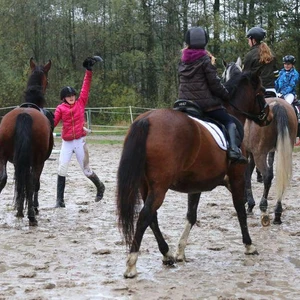 Hubertus 2017 - cz. 2 (Fot. Joanna Wypiór)