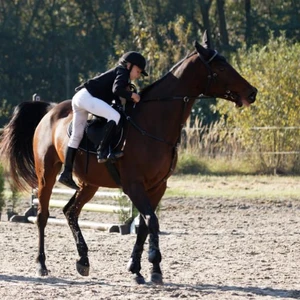 Hubertus 2019 - cz. III - konkurs skoków 50 cm (fot. Piotr Kawula)