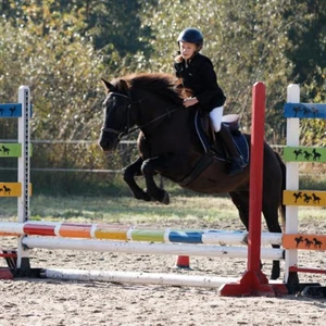 Hubertus 2019 - cz. III - konkurs skoków 50 cm (fot. Piotr Kawula)