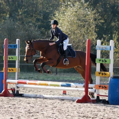 Hubertus 2019 - cz. III - konkurs skoków 50 cm (fot. Piotr Kawula)