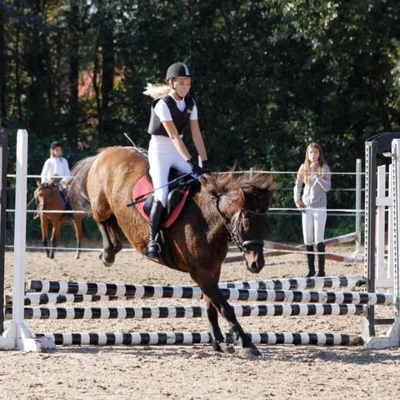 Hubertus 2019 - cz. III - konkurs skoków 50 cm (fot. Piotr Kawula)