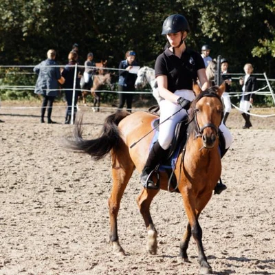 Hubertus 2019 - cz. III - konkurs skoków 50 cm (fot. Piotr Kawula)