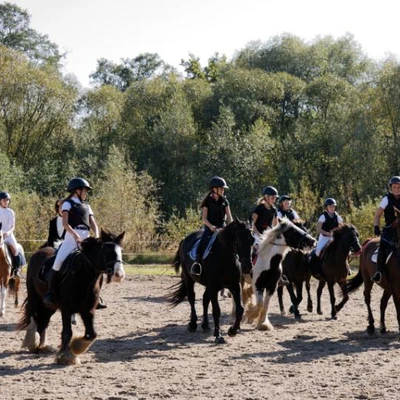 Hubertus 2019 - cz. VII - pogoń za lisem o puchar Dziekana (fot. Piotr Kawula)