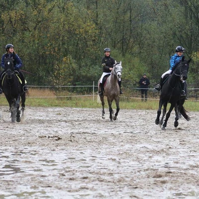 Hubertus 2017 - cz. 2 (Fot. Joanna Wypiór)