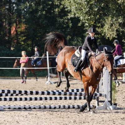 Hubertus 2019 - cz. III - konkurs skoków 50 cm (fot. Piotr Kawula)