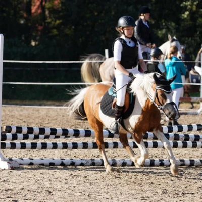 Hubertus 2019 - cz. III - konkurs skoków 50 cm (fot. Piotr Kawula)