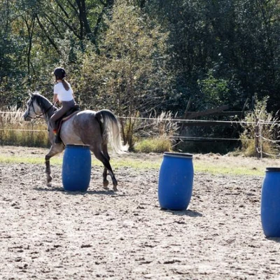 Hubertus 2019 - cz. IV - konkurs podskoków 20 cm (fot. Piotr Kawula)