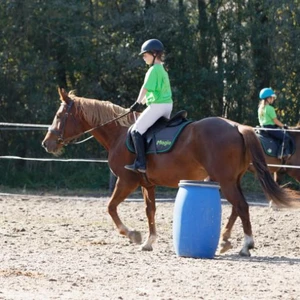 Hubertus 2019 - cz. IV - konkurs podskoków 20 cm (fot. Piotr Kawula)