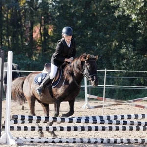 Hubertus 2019 - cz. III - konkurs skoków 50 cm (fot. Piotr Kawula)