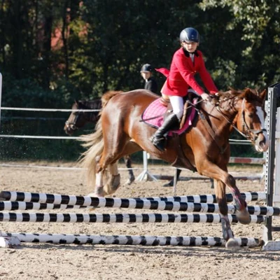 Hubertus 2019 - cz. III - konkurs skoków 50 cm (fot. Piotr Kawula)