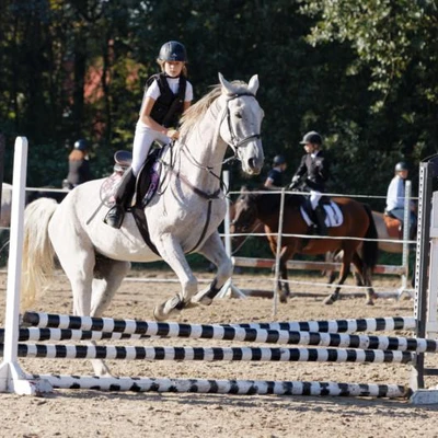 Hubertus 2019 - cz. III - konkurs skoków 50 cm (fot. Piotr Kawula)