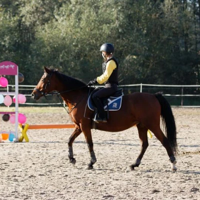 Hubertus 2019 - cz. III - konkurs skoków 50 cm (fot. Piotr Kawula)