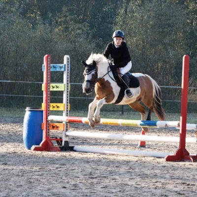 Hubertus 2019 - cz. II - konkurs skoków 70 cm (fot. Piotr Kawula)