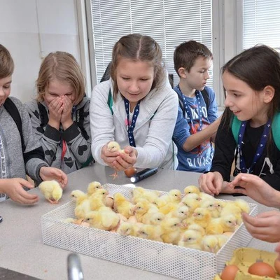 Wykłady i warsztaty dla Wadowickiego Uniwersytetu Dzieci