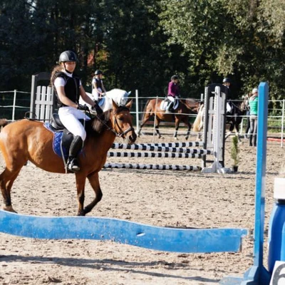 Hubertus 2019 - cz. III - konkurs skoków 50 cm (fot. Piotr Kawula)