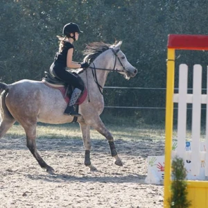 Hubertus 2019 - cz. III - konkurs skoków 50 cm (fot. Piotr Kawula)