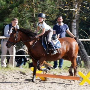 Hubertus 2019 - cz. IV - konkurs podskoków 20 cm (fot. Piotr Kawula)