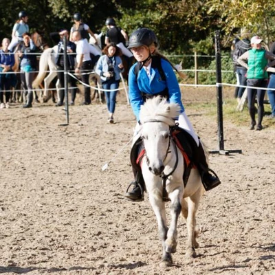 Hubertus 2019 - cz. III - konkurs skoków 50 cm (fot. Piotr Kawula)