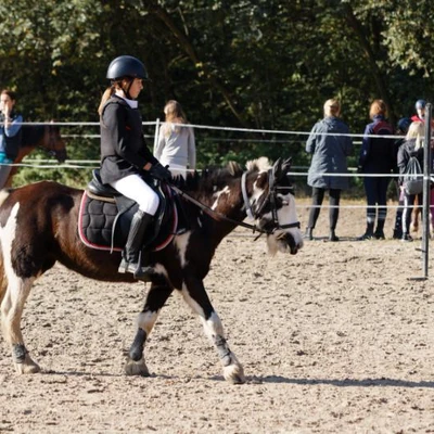 Hubertus 2019 - cz. III - konkurs skoków 50 cm (fot. Piotr Kawula)