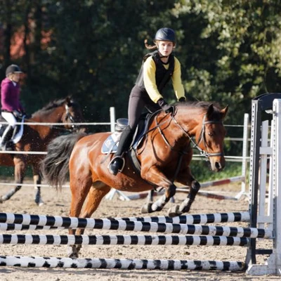 Hubertus 2019 - cz. III - konkurs skoków 50 cm (fot. Piotr Kawula)