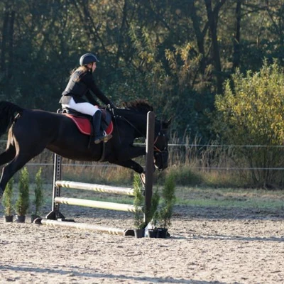 Hubertus 2019 - cz. II - konkurs skoków 70 cm (fot. Piotr Kawula)