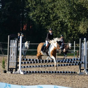 Hubertus 2019 - cz. II - konkurs skoków 70 cm (fot. Piotr Kawula)