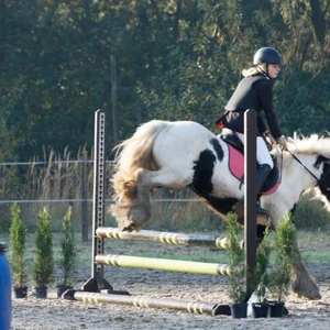 Hubertus 2019 - cz. II - konkurs skoków 70 cm (fot. Piotr Kawula)