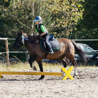 Hubertus 2019 - cz. IV - konkurs podskoków 20 cm (fot. Piotr Kawula)