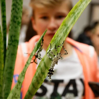 Małopolska Noc Naukowców 2018 (fot. Piotr Kawula)