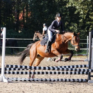 Hubertus 2019 - cz. III - konkurs skoków 50 cm (fot. Piotr Kawula)