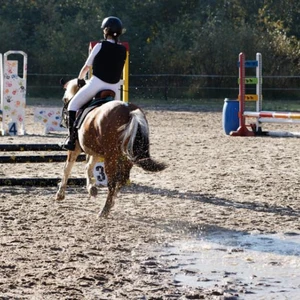 Hubertus 2019 - cz. III - konkurs skoków 50 cm (fot. Piotr Kawula)