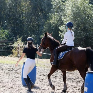 Hubertus 2019 - cz. IV - konkurs podskoków 20 cm (fot. Piotr Kawula)