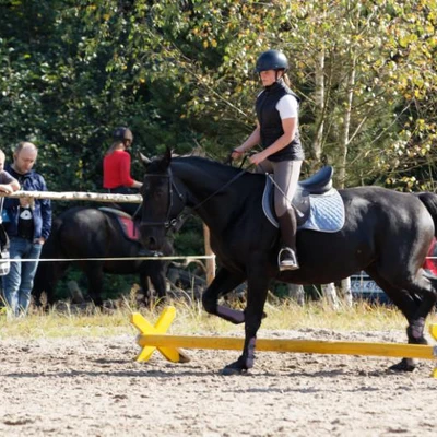 Hubertus 2019 - cz. IV - konkurs podskoków 20 cm (fot. Piotr Kawula)