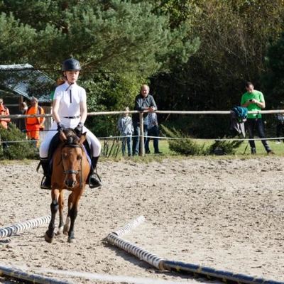 Hubertus 2019 - cz. IV - konkurs podskoków 20 cm (fot. Piotr Kawula)