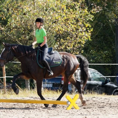 Hubertus 2019 - cz. IV - konkurs podskoków 20 cm (fot. Piotr Kawula)