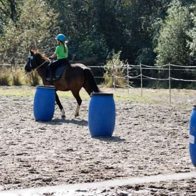 Hubertus 2019 - cz. IV - konkurs podskoków 20 cm (fot. Piotr Kawula)