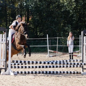 Hubertus 2019 - cz. III - konkurs skoków 50 cm (fot. Piotr Kawula)